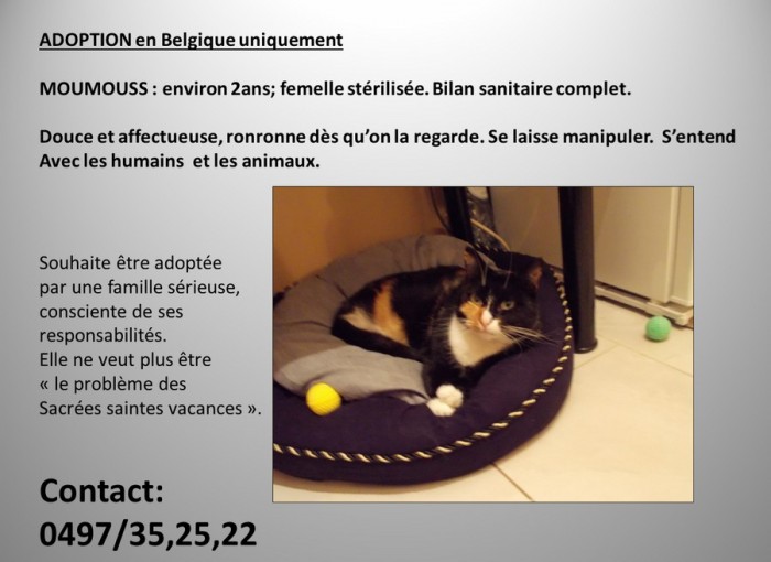 Chat gratuite habibti