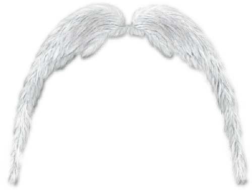 TUBES ANGES PNG