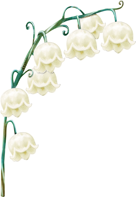 TUBES 1 MAI MUGUET PNG....BONNE SOIREE A VOUS ET A BIENTOT XOXO CAROLINE