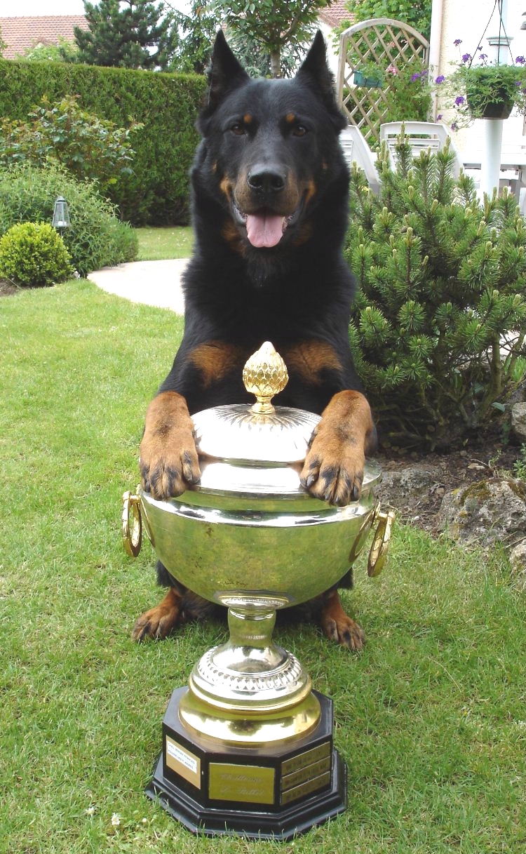 challenge%202006.jpg