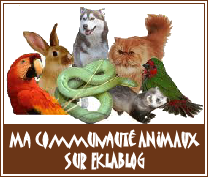 Communauté-animaux