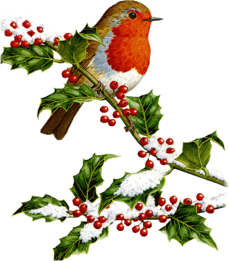 Animaux Oiseaux