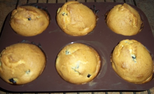 Muffins aux mures au thermomix