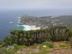 Le Cap des Tempêtes vu depuis l'entrée de Cape Point