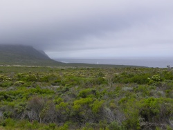 La côte est de la Réserve naturelle du Cap de Bonne-Espérance et la croix Da Gama