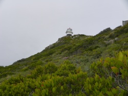 Le phare de Cape Point