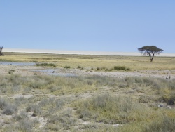 Le Parc National d'Etosha