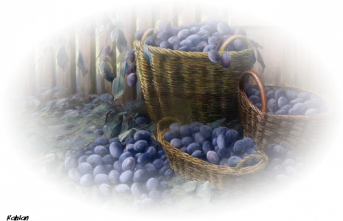 tubes fruits