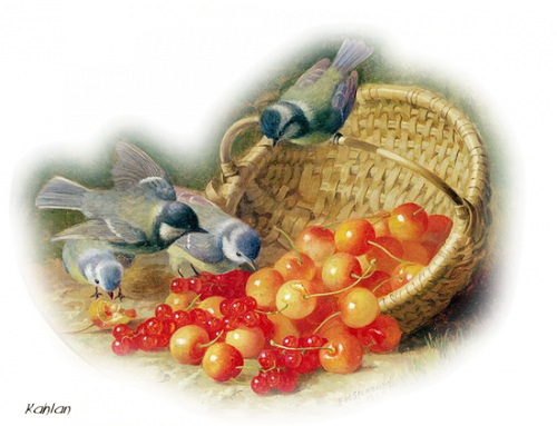 tubes fruits