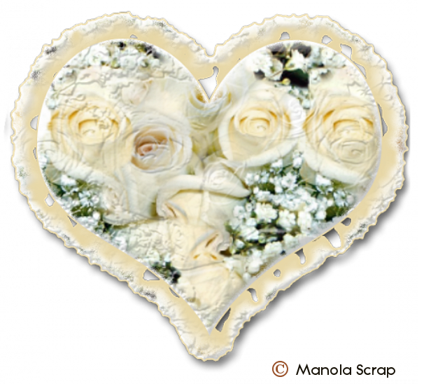 Kits roses blanches 