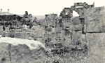 Visite des ruines de Timgad