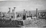 Visite des ruines de Timgad