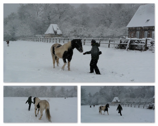 Des photos de vos chevaux sous la neige ?  Mod_article2315560_4