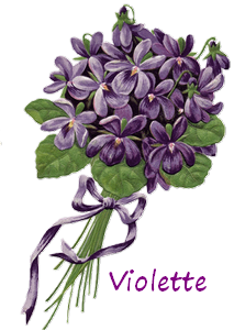 signatures Violette