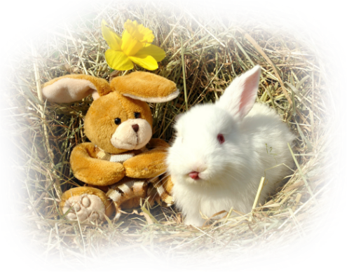 Personnages F&eacute;es