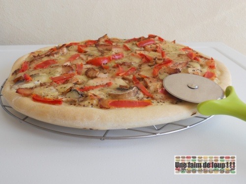 poulet - Pizza blanche  Poulet / moutarde / champignons / poivron /mozzarella Mod_article47890480_500ac99b611ce