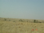 Venir au Niger