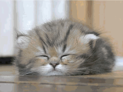 http://data0.eklablog.com/images-gifs/mod_article37788528_1.png?6964