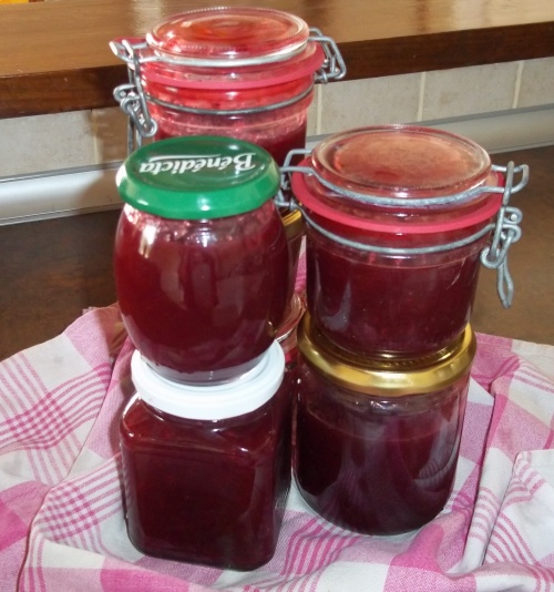Confiture de pêche de vigne vanillée au THERMOMIX.